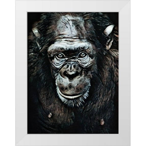 Aldridge, Ashley 19x24 White Modern Wood Framed Museum Art Print Titled - Chimpanzee Contemplation