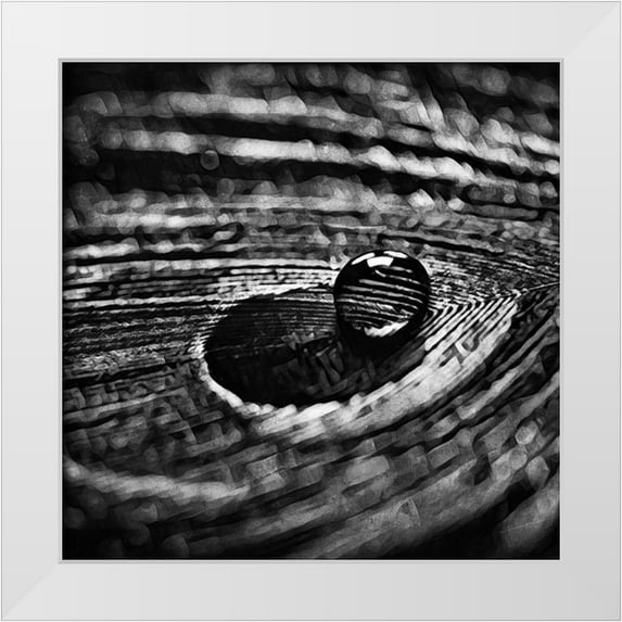 Aldridge, Ashley 20x20 White Modern Wood Framed Museum Art Print Titled - Monochrome Feather Droplet