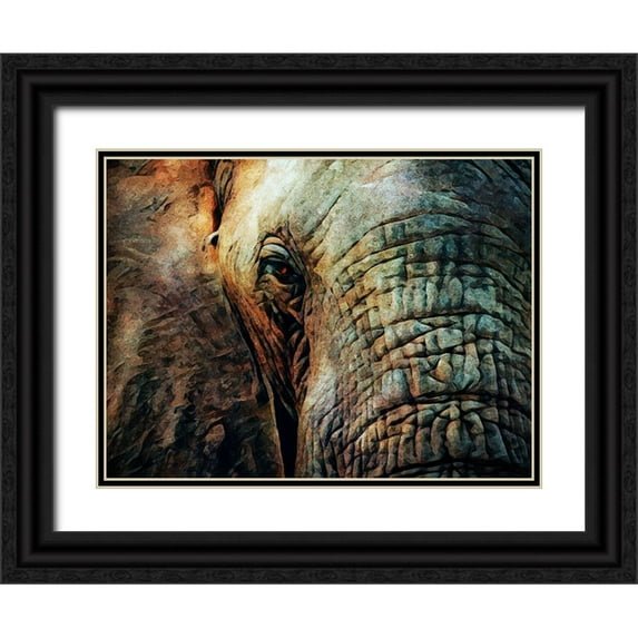 Aldridge, Ashley 24x19 Black Ornate Wood Framed with Double Matting Museum Art Print Titled - African Elephant Wise Eyes