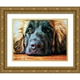 thumbnail image 1 of Aldridge, Ashley 24x19 Gold Ornate Wood Framed with Double Matting Museum Art Print Titled - Leonberger Puppy Pout, 1 of 4