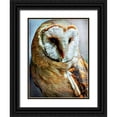 thumbnail image 1 of Aldridge, Ashley 25x32 Black Ornate Wood Framed with Double Matting Museum Art Print Titled - Barn Owl Heart Faced Hunter, 1 of 4