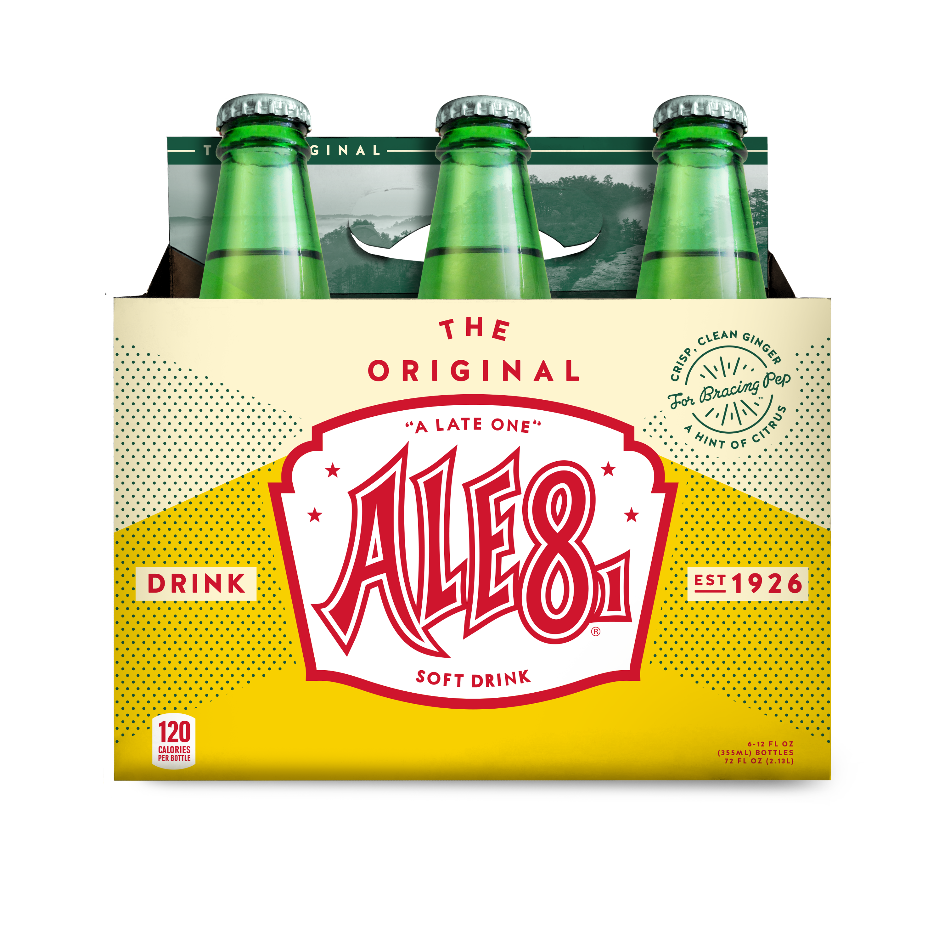 Ale-8-One Original Ginger Ale Soda Pop, 12 Fl Oz, 6 Pack Bottles - image 1 of 2