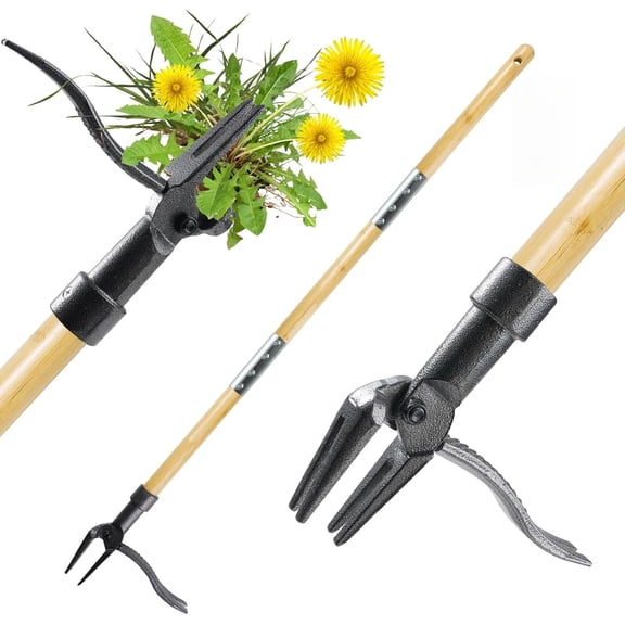 Alease Weed Puller Tool, Stand Up Heavy Duty Weed Remover Tool with Long Handle & 4-Claw Steel Head, Bamboo Garden Hand Weeding Tool - Easily Remove Weeds Without Bending, Pulling,or Kneeling