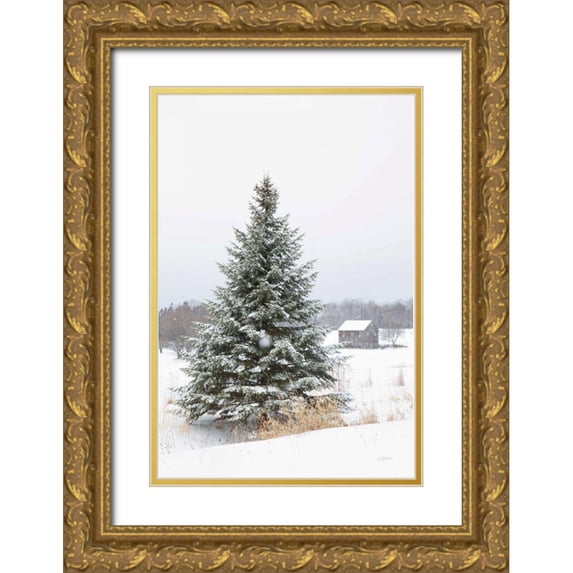 Aledanda 11x14 Gold Ornate Wood Framed with Double Matting Museum Art Print Titled - Perfect Pine Tree