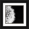 thumbnail image 1 of Aledanda 12x12 Black Ornate Wood Framed with Double Matting Museum Art Print Titled - Dandelion on Black II, 1 of 4