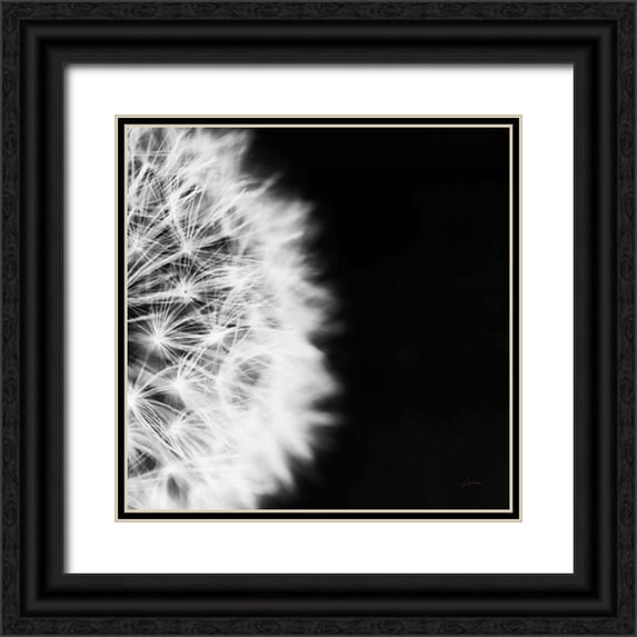 Aledanda 12x12 Black Ornate Wood Framed with Double Matting Museum Art Print Titled - Dandelion on Black II