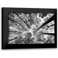 thumbnail image 1 of Aledanda 14x11 Black Modern Framed Museum Art Print Titled - Looking Up I BW, 1 of 5