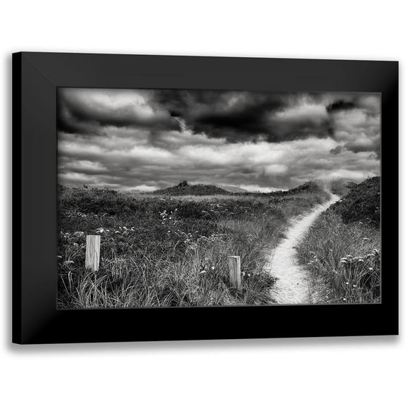 Aledanda 14x11 Black Modern Framed Museum Art Print Titled - Nantucket Pathway
