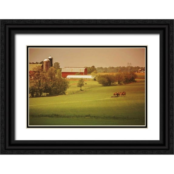 Aledanda 14x11 Black Ornate Wood Framed with Double Matting Museum Art Print Titled - Fall Farm
