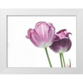 thumbnail image 1 of Aledanda 14x12 White Modern Wood Framed Museum Art Print Titled - Tulip Time I, 1 of 4