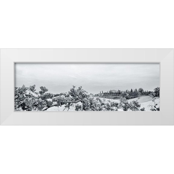 Aledanda 14x7 White Modern Wood Framed Museum Art Print Titled - Villa View Light Crop