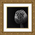 thumbnail image 1 of Aledanda 15x15 Gold Ornate Wood Framed with Double Matting Museum Art Print Titled - Allium II, 1 of 4
