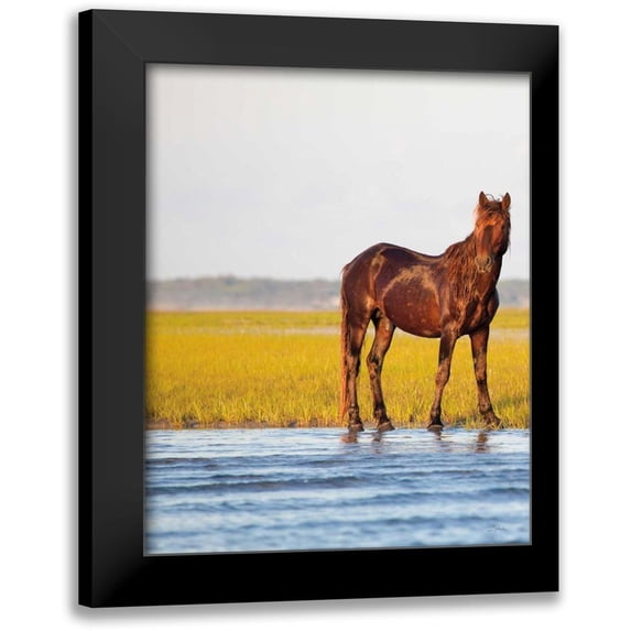 Aledanda 15x18 Black Modern Framed Museum Art Print Titled - By the River