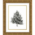 thumbnail image 1 of Aledanda 15x18 Gold Ornate Wood Framed with Double Matting Museum Art Print Titled - Lone Pine, 1 of 4