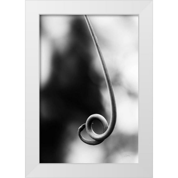Aledanda 17x24 White Modern Wood Framed Museum Art Print Titled - Curly Cue
