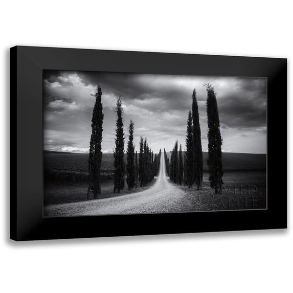 Aledanda 18x13 Black Modern Framed Museum Art Print Titled - Travelling in Tuscany