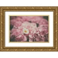 thumbnail image 1 of Aledanda  18x13 Gold Ornate Wood Framed with Double Matting Museum Art Print Titled - Daisy Dreams, 1 of 4