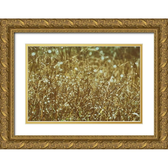 Aledanda 18x13 Gold Ornate Wood Framed with Double Matting Museum Art Print Titled - Dew on Grasses