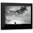 thumbnail image 1 of Aledanda 18x15 Black Modern Framed Museum Art Print Titled - Lone Tree, 1 of 5