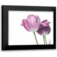 thumbnail image 1 of Aledanda 18x15 Black Modern Framed Museum Art Print Titled - Tulip Time I, 1 of 5