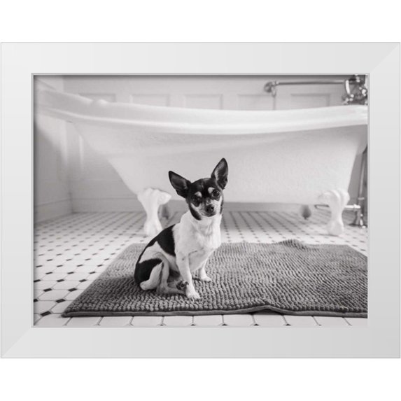 Aledanda 18x15 White Modern Wood Framed Museum Art Print Titled - Bath Time