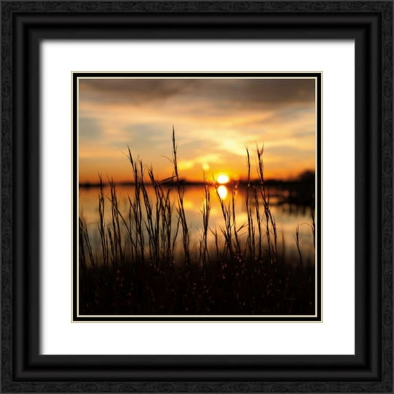 Aledanda 20x20 Black Ornate Wood Framed with Double Matting Museum Art Print Titled - Maryland Sunset II
