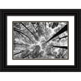 thumbnail image 1 of Aledanda 24x17 Black Ornate Wood Framed with Double Matting Museum Art Print Titled - Looking Up I BW, 1 of 4