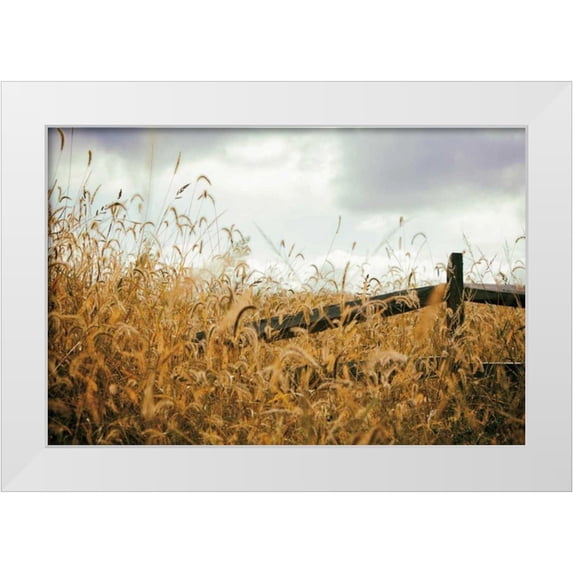 Aledanda 24x17 White Modern Wood Framed Museum Art Print Titled - Fencerow