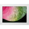 thumbnail image 1 of Aledanda 24x17 White Modern Wood Framed Museum Art Print Titled - Pink and Green, 1 of 4