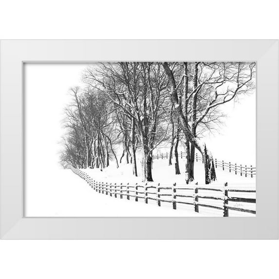 Aledanda 24x17 White Modern Wood Framed Museum Art Print Titled - Winter Wonderland