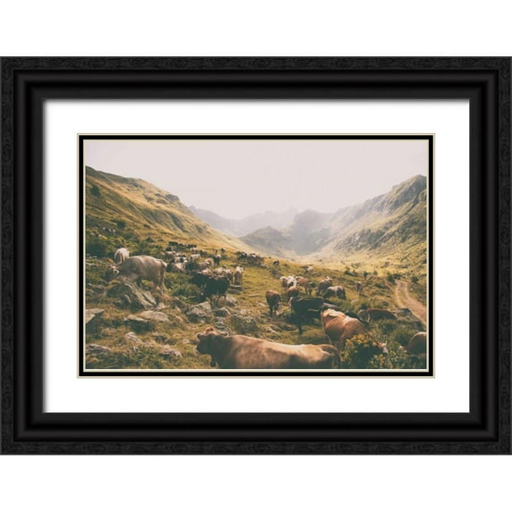 Aledanda 32x23 Black Ornate Wood Framed with Double Matting Museum Art Print Titled - In the Valley