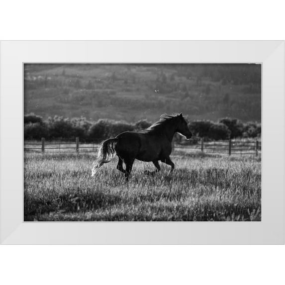 Aledanda 32x23 White Modern Wood Framed Museum Art Print Titled - Going Home