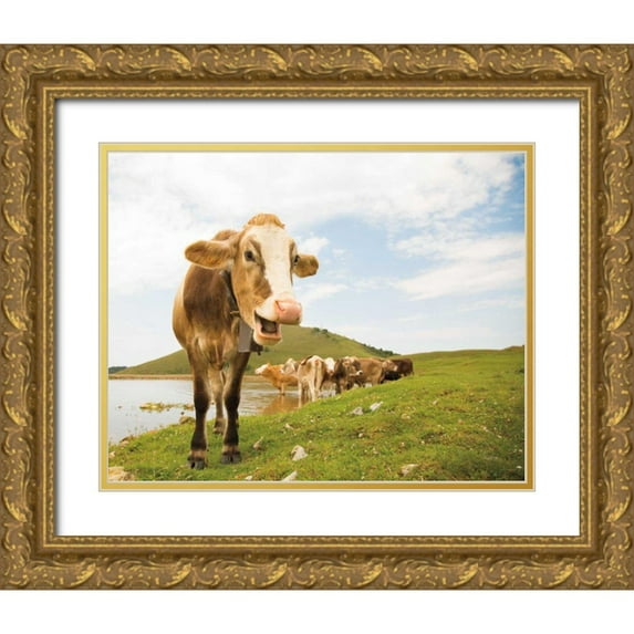Aledanda 32x26 Gold Ornate Wood Framed with Double Matting Museum Art Print Titled - Close Up III
