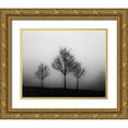 thumbnail image 1 of Aledanda 32x26 Gold Ornate Wood Framed with Double Matting Museum Art Print Titled - In the Fog Crop, 1 of 4