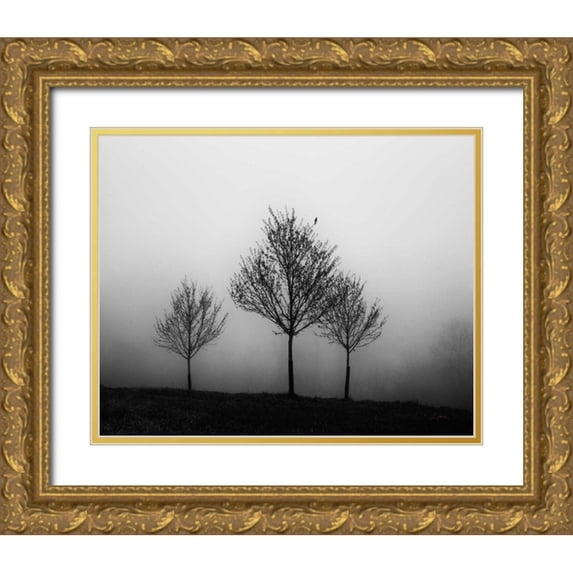 Aledanda 32x26 Gold Ornate Wood Framed with Double Matting Museum Art Print Titled - In the Fog Crop