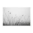 thumbnail image 1 of Aledanda 'Autumn Grasses' Canvas Art, 1 of 4