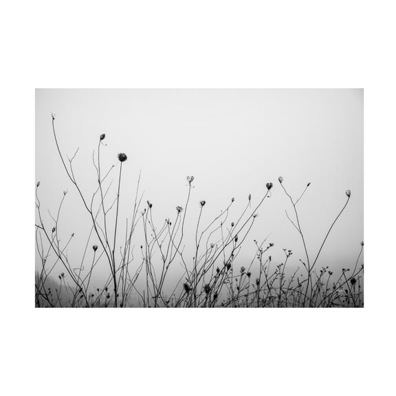 Aledanda 'Autumn Grasses' Canvas Art