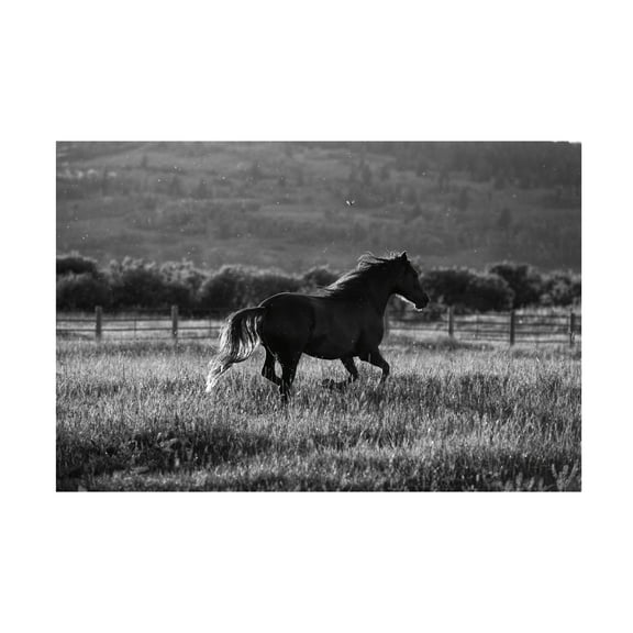 Aledanda 'Going Home' Canvas Art