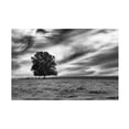 thumbnail image 1 of Aledanda 'Majestic' Canvas Art, 1 of 4
