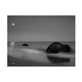 thumbnail image 1 of Aledanda 'Moonlit I' Canvas Art, 1 of 4