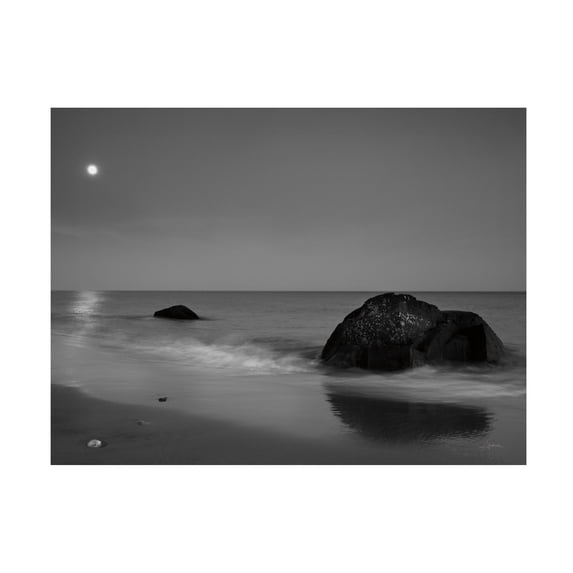 Aledanda 'Moonlit I' Canvas Art
