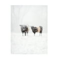 thumbnail image 1 of Aledanda 'Oreos and Milk IV' Canvas Art, 1 of 4