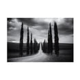 thumbnail image 1 of Aledanda 'Travelling In Tuscany' Canvas Art, 1 of 4