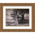 thumbnail image 1 of Aleksey Savrasov 2x Matted 24x20 Gold Ornate Framed Art Print 'Oaks on the shore', 1 of 2
