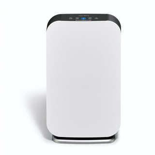 Purifier walmart sale