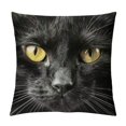 Alepadnf Cute Cat Pillow Cushion Covers for Sofa Couch Home Decor