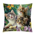 Alepadnf Kittens Butterfly Flowers Pillow Cushion Covers Short Plush