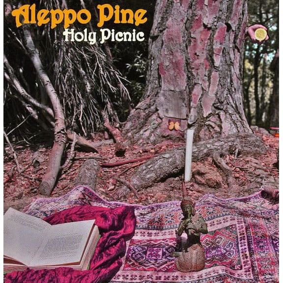 Aleppo Pine - Holy Picnic - Music & Performance - CD