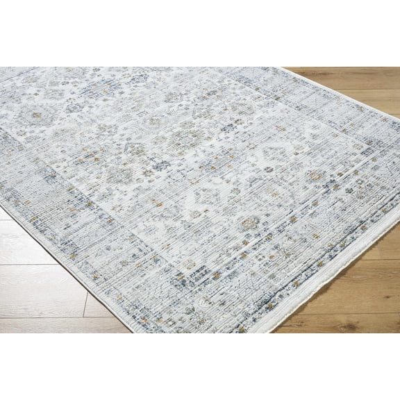 BoutiqueRugs Aleron Traditional Area Rug - Light Gray, Charcoal, Medium Gray - 6'7" x 9'
