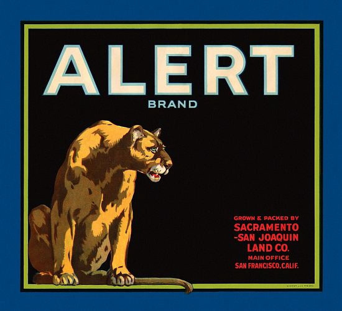 Alert Mountain Lion label Canvas Art -  (24 x 36)